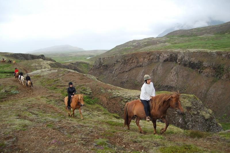 Excursion d'équitation en Islande au départ de Reykjavik