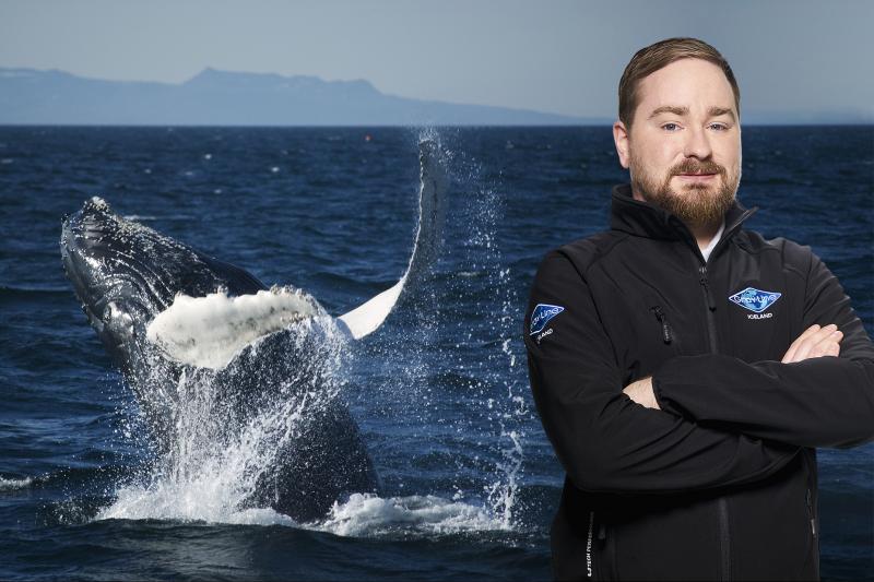 Votre guide et le capitaine du navire sont des experts pour localiser les baleines dans la nature