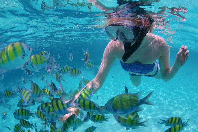 Navigazione in Barca a Vela di Lusso con Pranzo, Open Bar Premium e Pick-up in Piccolo Gruppo - Alloggi in Cabo San Lucas