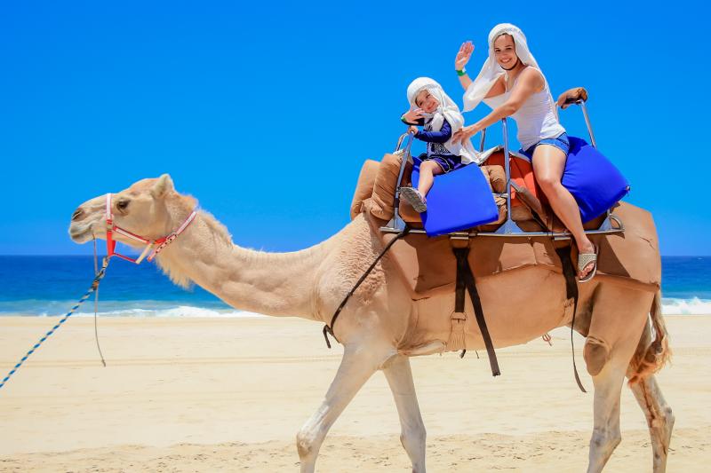 Camel Ride through the Los Cabos Desert with Lunch and Pick-up - Accommodations in Cabo San Lucas