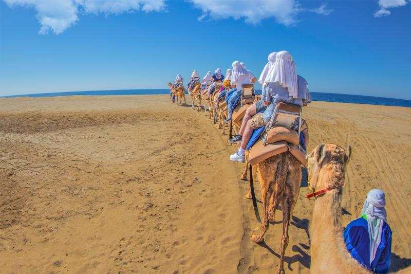 Camel Ride through the Los Cabos Desert with Lunch and Pick-up - Accommodations in Cabo San Lucas