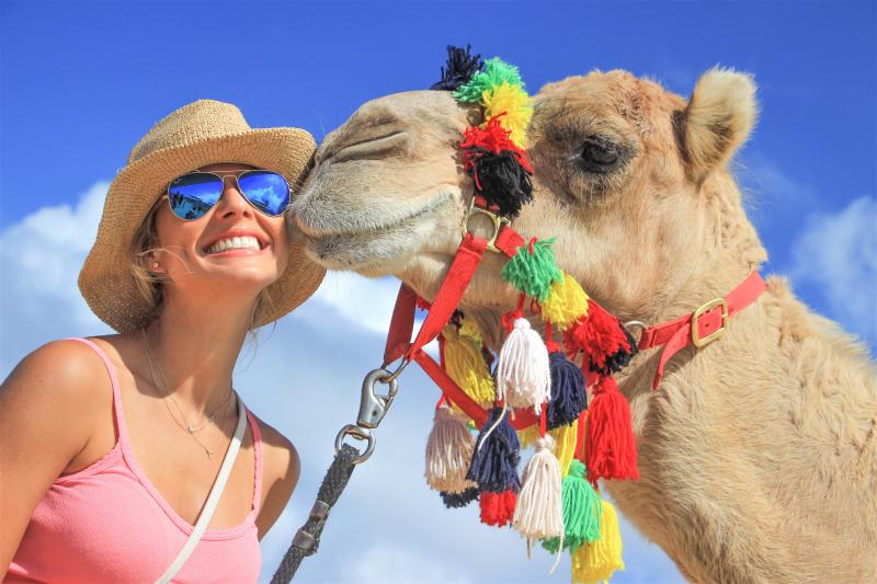 Camel Ride through the Los Cabos Desert with Lunch and Pick-up - Accommodations in Cabo San Lucas