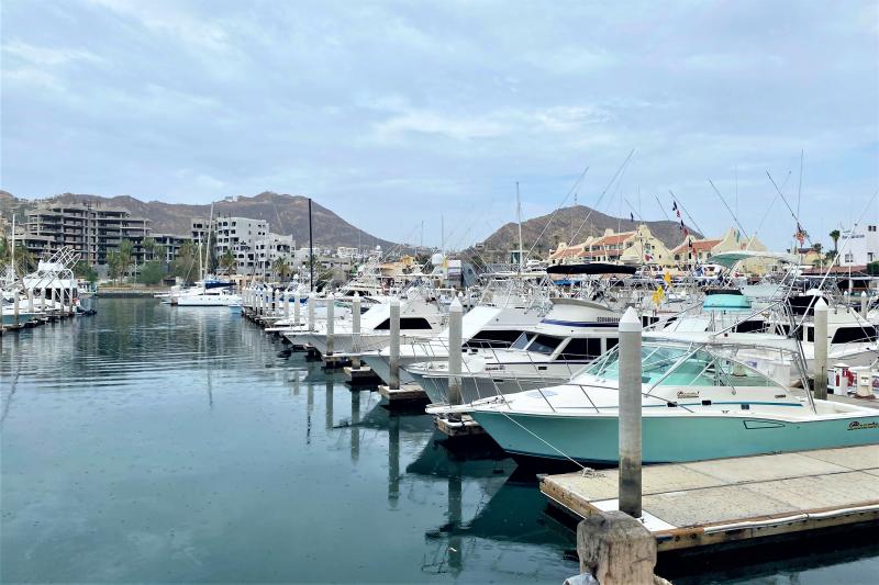 Cabo Arch Excursion and City Walk in Small Group - Accommodations in Cabo San Lucas