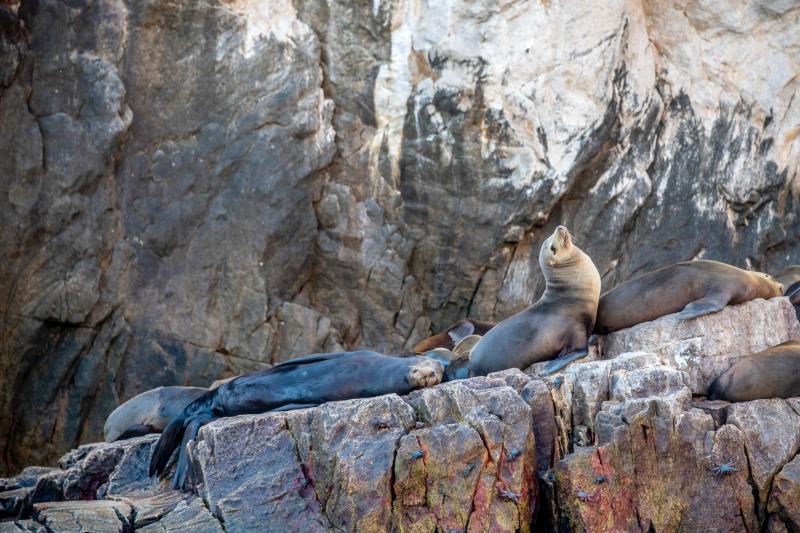 Cabo Arch Excursion and City Walk in Small Group - Accommodations in Cabo San Lucas
