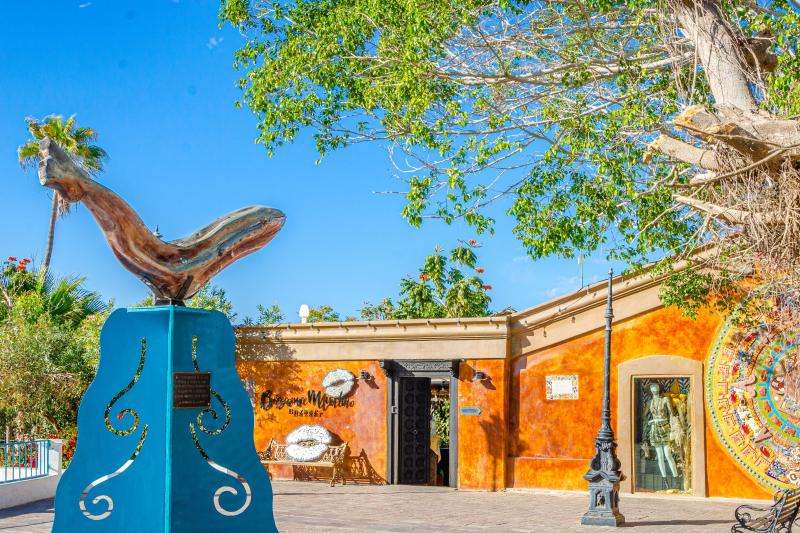 Todos Santos City Tour - Accommodations in Cabo San Lucas