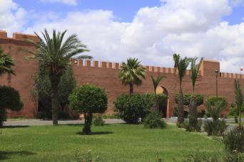Marrakech : visite botanique privée