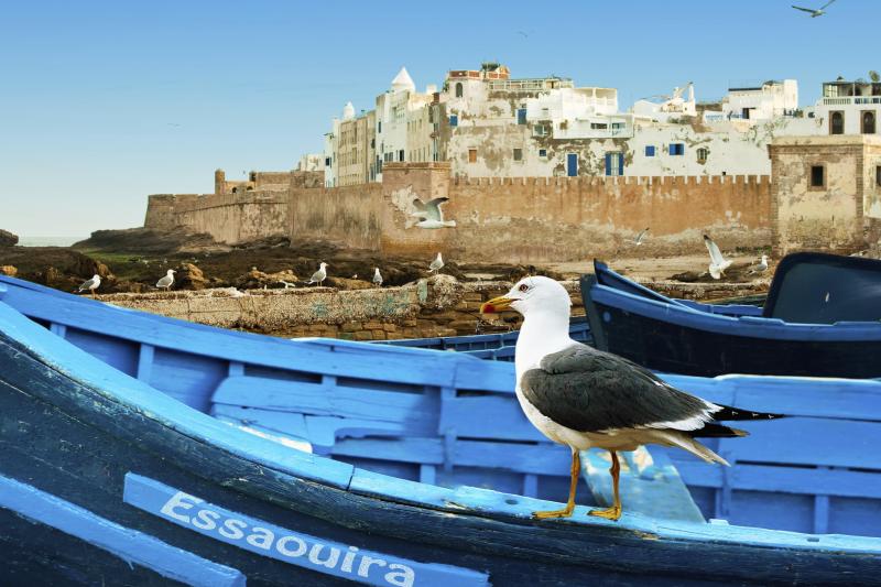 Essaouira : excursion privée d'une journée