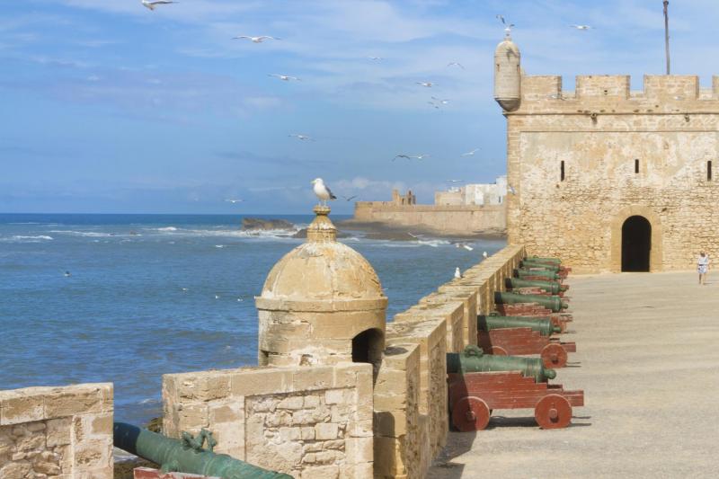 Essaouira : excursion privée d'une journée