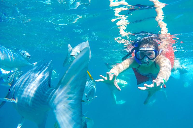 Tour alle Isole Marietas in Catamarano con Colazione e Pranzo - Alloggi in Puerto Vallarta