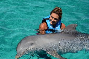 Rencontre avec les dauphins avec accès au parc Aquaventuras