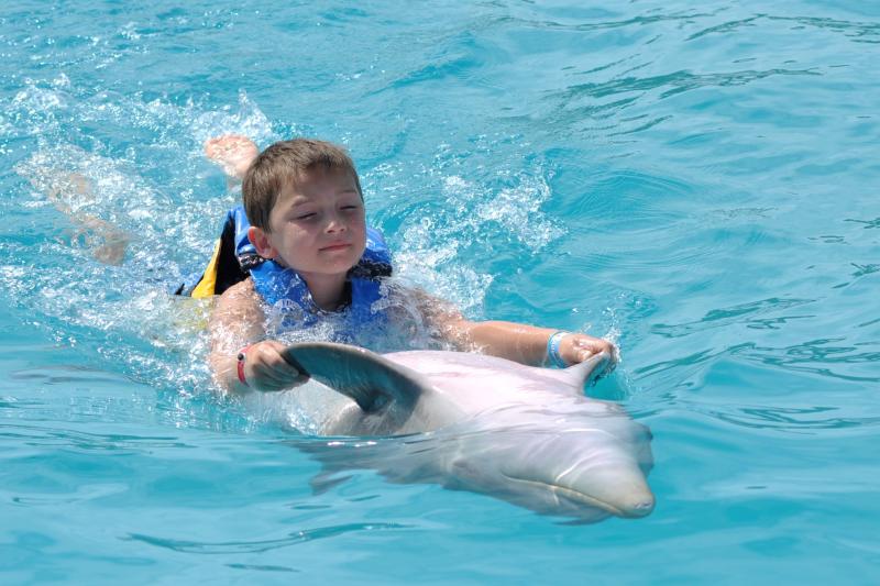 Tour di Nuoto con Delfini in Piccolo Gruppo - Alloggi in Puerto Vallarta