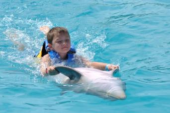 Nage avec les dauphins avec accès au parc Aquaventuras