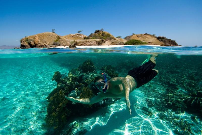 Tour di Snorkeling alle Isole Marieta con Colazione, Pranzo e Open Bar - Alloggi in Puerto Vallarta
