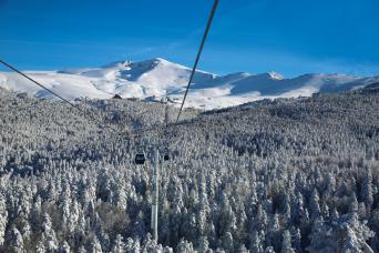 Visite de la Bursa verte