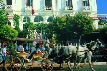 Horse Drawn Carriages