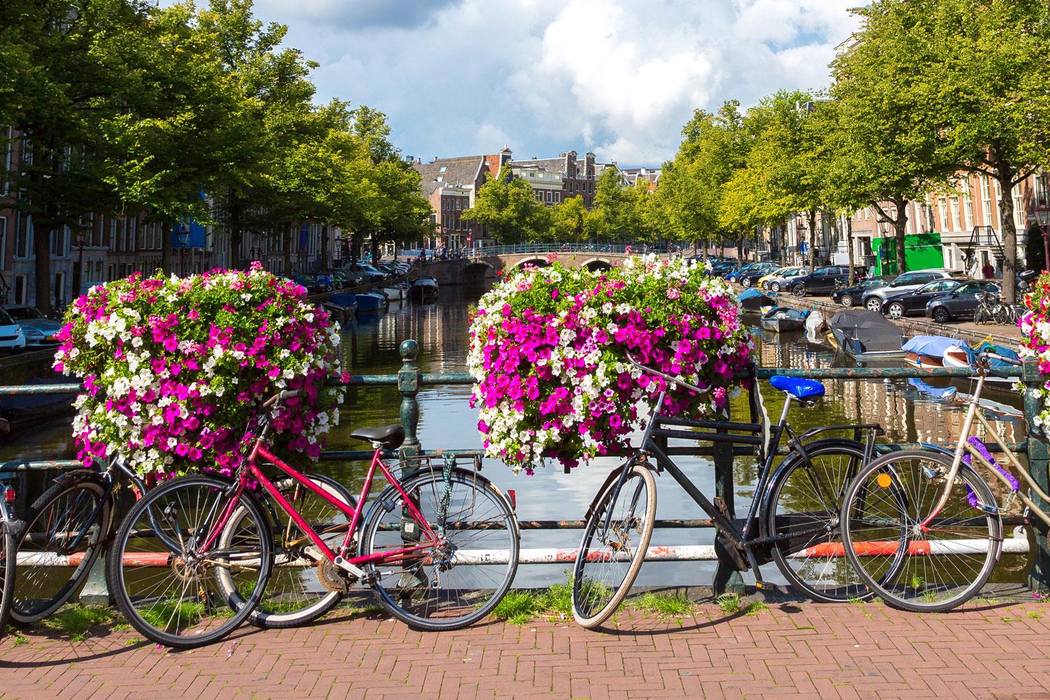Amsterdam to Bruges Cycling Macs Adventure