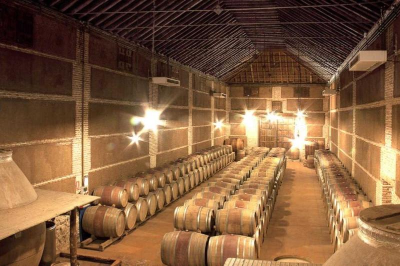 Visit a winery in Toledo Toledo region