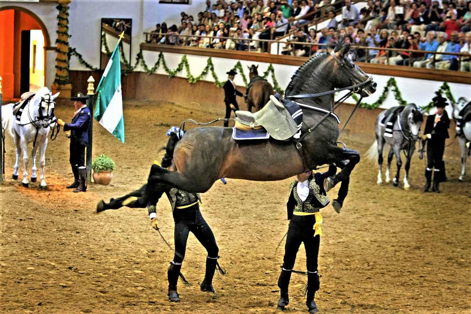 Jerez wineries from Seville Seville Jerez de la Frontera