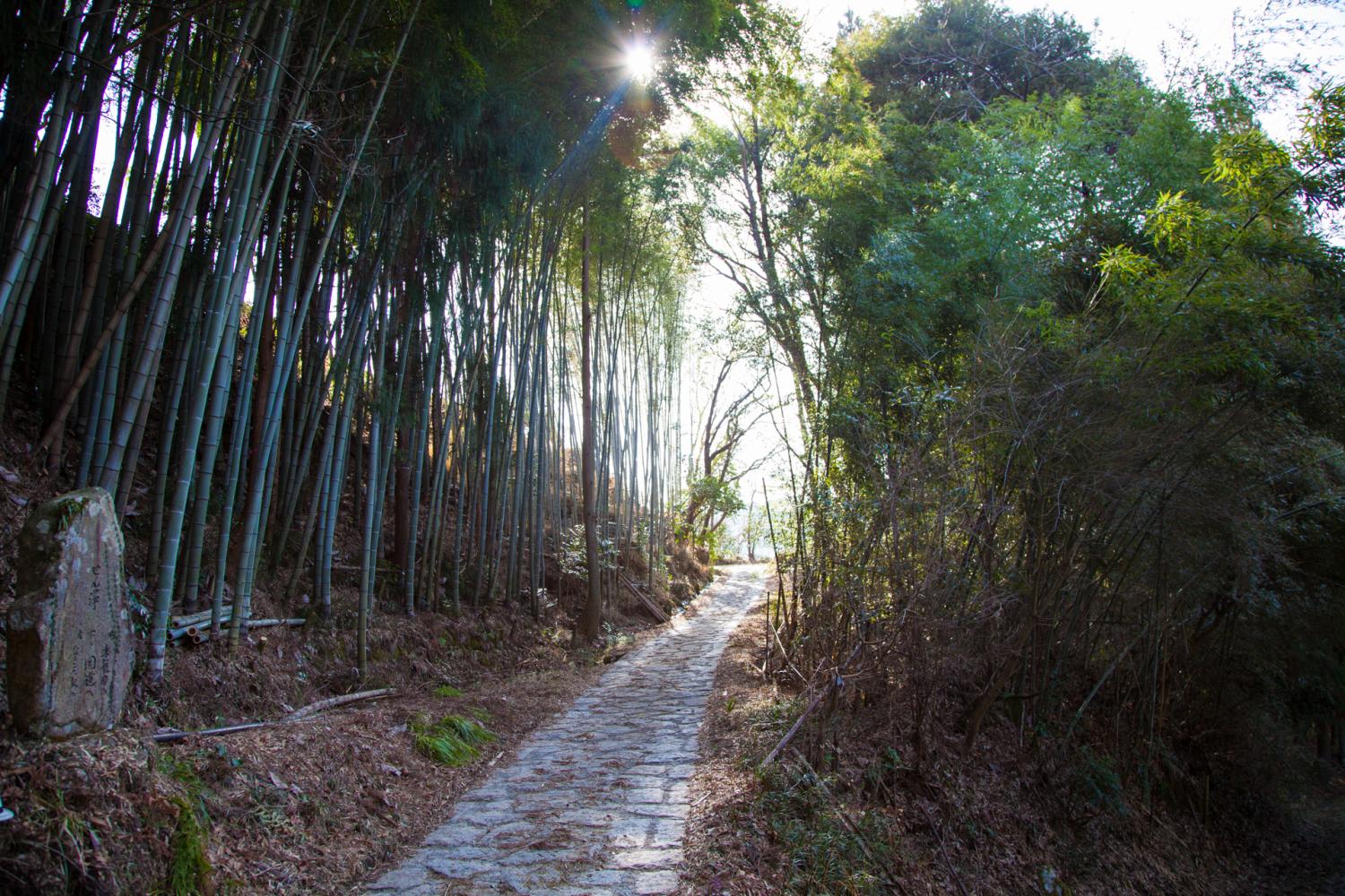 Nakasendo Trail Guided Walking Tour Oku Japan
