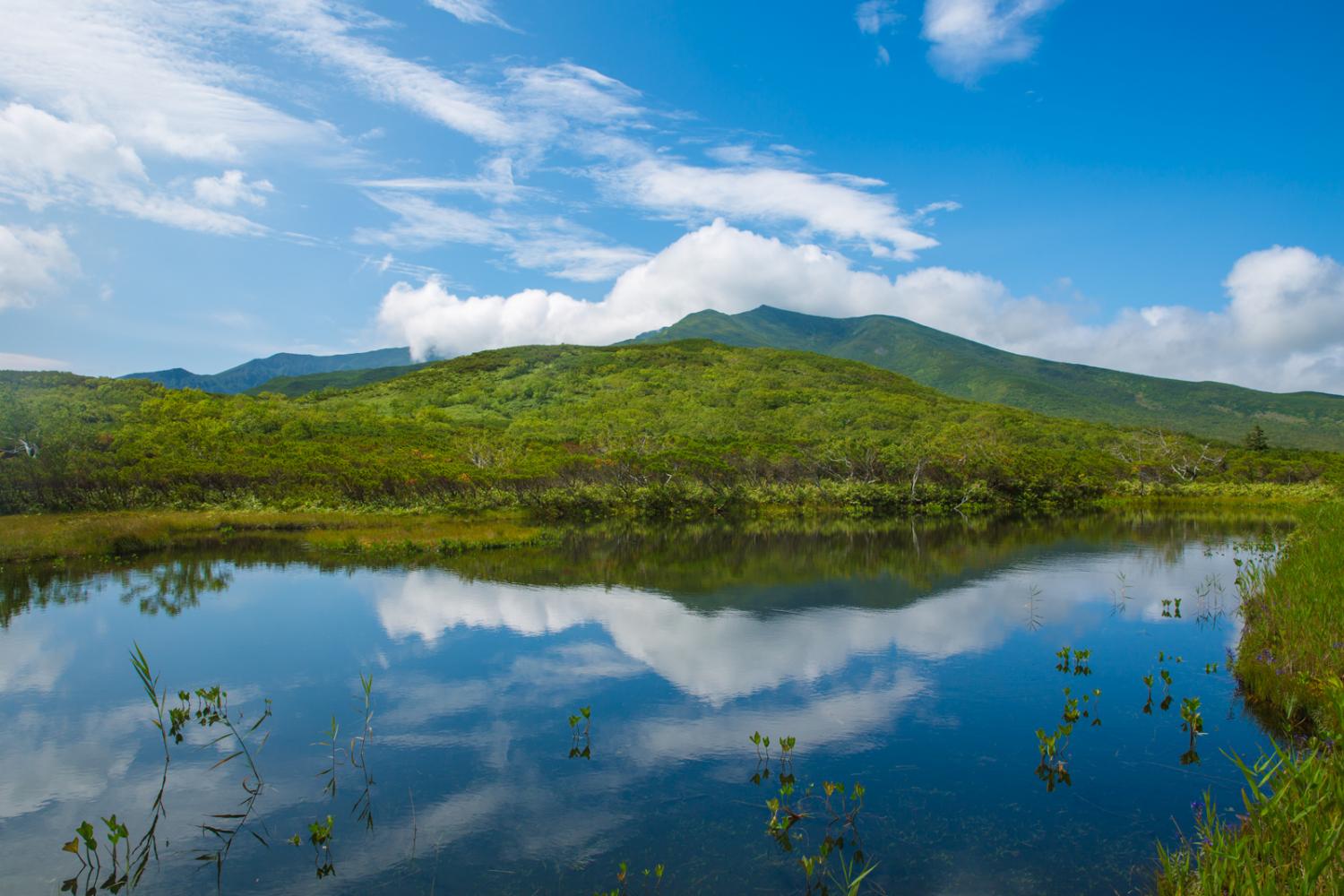 Wild Lands of East Hokkaido Guided Tour Oku Japan Oku Japan