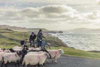 Ireland - Bike Tour on the Wild Atlantic Way Ireland - Bike Tour on the Wild Atlantic Way Thumbnail