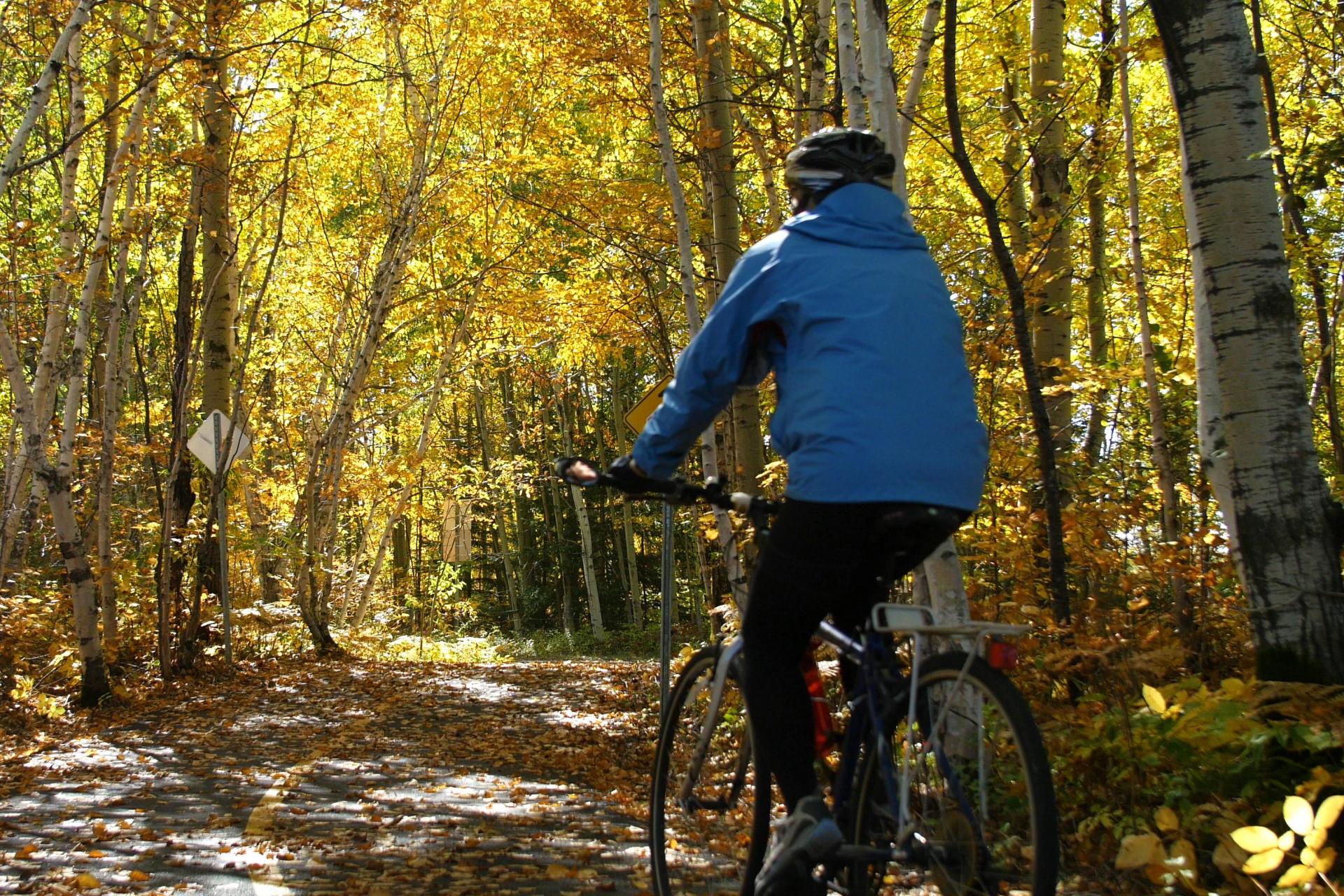 Canada Quebec Bike Tour Pure Adventures