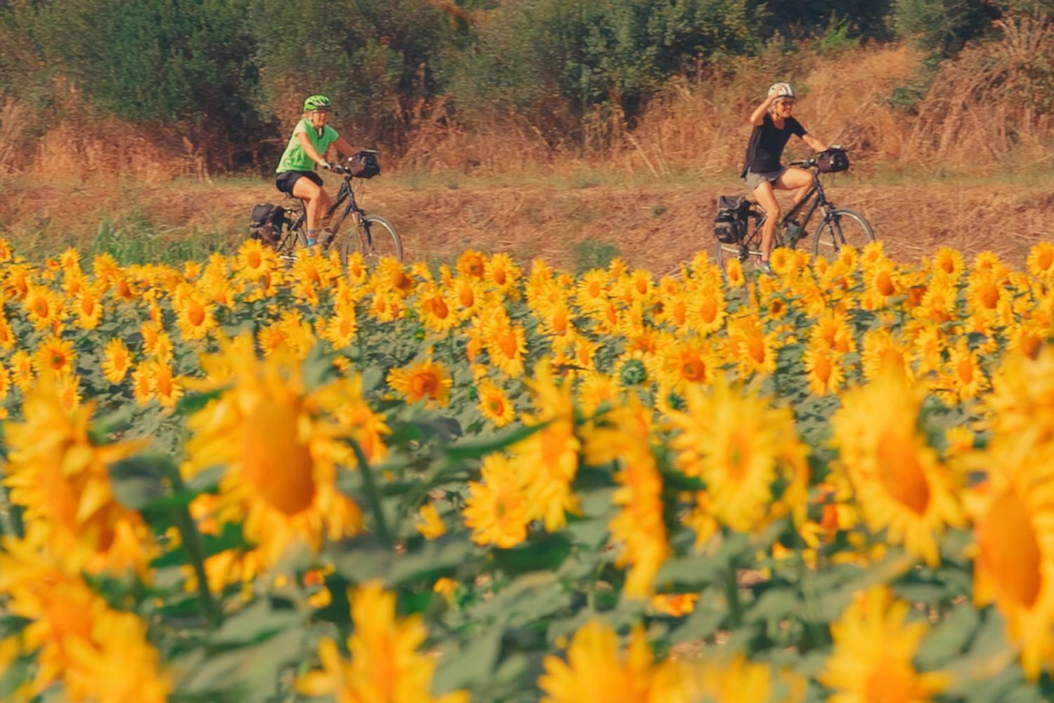 Barcelona Bike Tour Costa Brava Culinary Biking