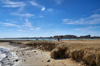 Le Cesine beach