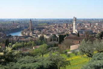 Self Guided Bike Tour Verona and its Wines