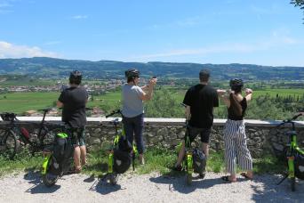 Valpolicella Wines