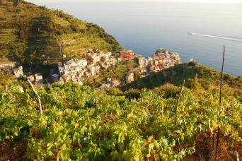 Meditteranean walking holidays