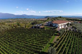 wine tasting holiday Italy