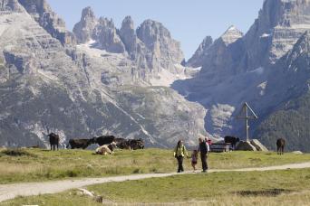 walking holiday in the Italian Alps