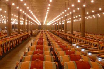 Wine tasting in Bordeaux