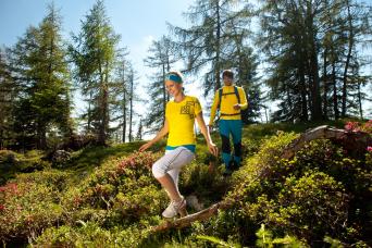 Salzkammer walking tour package