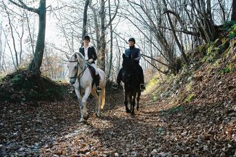 horse riding in Croatia