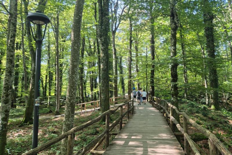 Guided Transfer from Zagreb to Omiš with stop at Plitvice Lakes