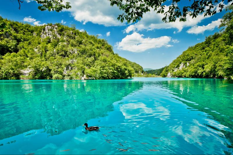 Parc national des lacs Plitvice : excursion au départ de Zagreb