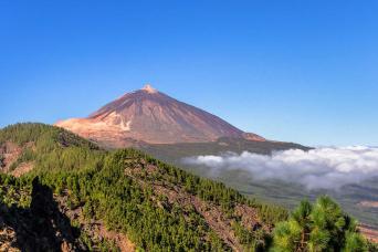 Frauen auf teneriffa kennenlernen