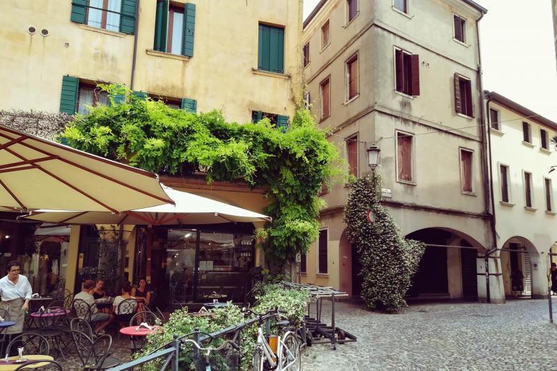 Padoue : excursion privée d'une journée